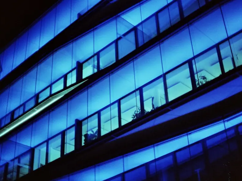 Global Workforce & Mobility